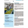 Patates fregides amb valor social afegit: crear ocupació per a persones amb discapacitat intel·lectual